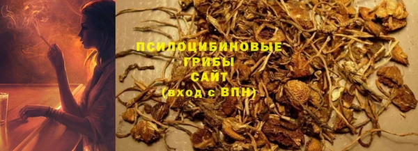 ГАЛЛЮЦИНОГЕННЫЕ ГРИБЫ Зеленокумск