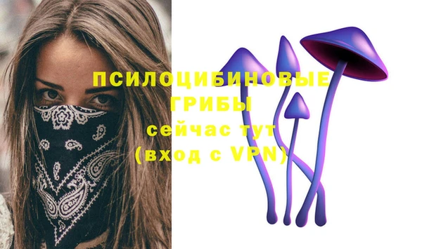 ГАЛЛЮЦИНОГЕННЫЕ ГРИБЫ Зеленокумск