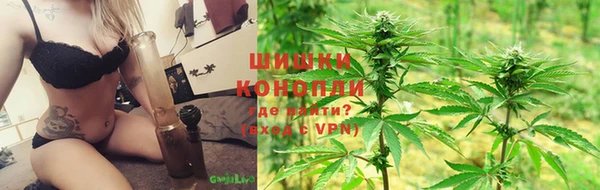 крисы Зерноград